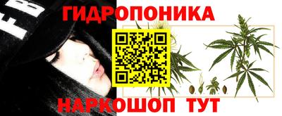гидра Ликино-Дулёво