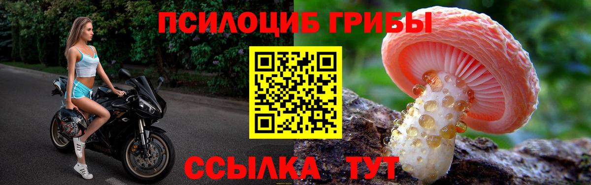 магазин    Псилоцибиновые грибы Cubensis  Вход с VPN  Гусь-Хрустальный 
